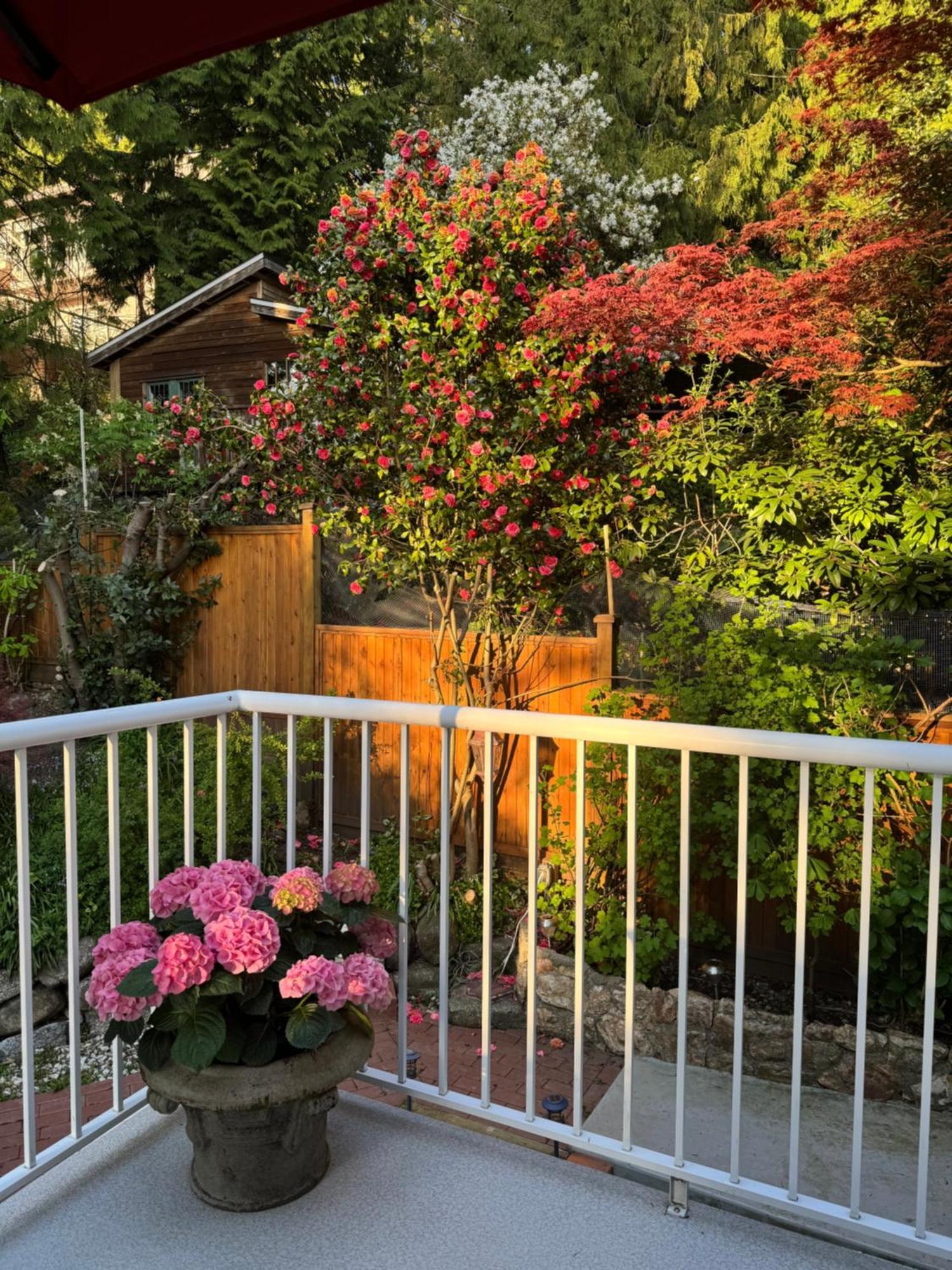 Beautiful Modern Suite ノースバンクーバー エクステリア 写真
